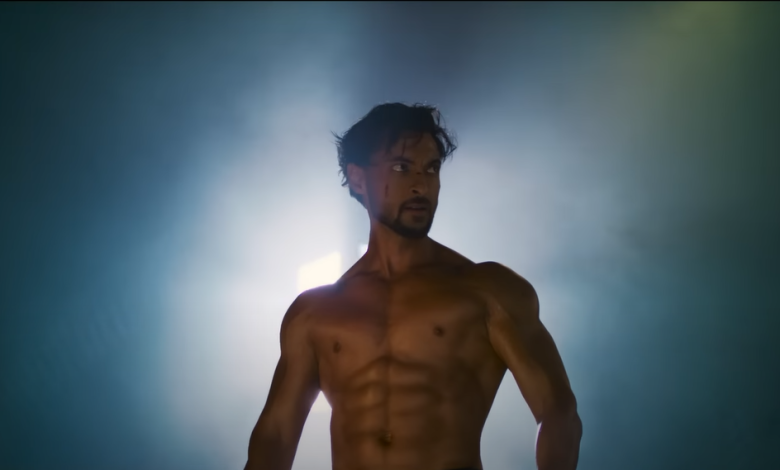 Aayush Sharma as Ruslaan