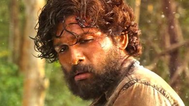 Allu Arjun in Pushpa 2