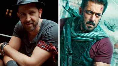 SCOOP: Check why there is an Absence of the FIGHTER Teaser with Tiger 3 & How It's Linked to War 2 2 Tiger 3 2