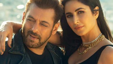 Tiger 3 4th day collection