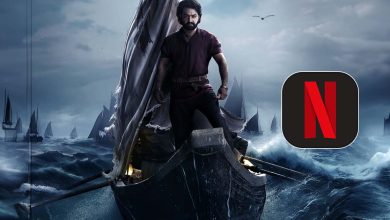 devara pre box office business netflix