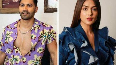 Varun and Mrunal movie