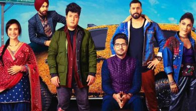 Wild Wild Punjab review