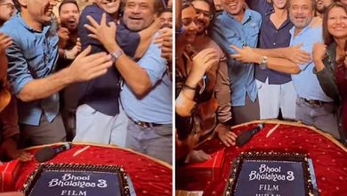 Bhool Bhulaiyaa 3 Wrap