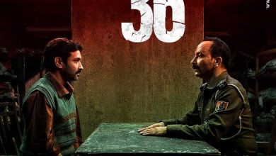 Sector 36 film review