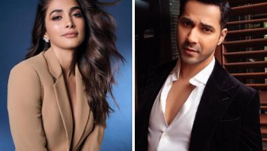 Pooja Hegde to star opposite Varun Dhawan