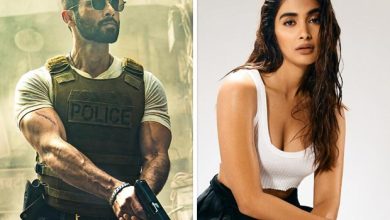 Shahid Kapoor – Pooja Hegde film