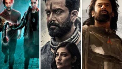 Most Searched Indian Movies of 2024