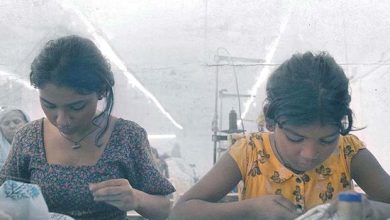 Netflix announces premiere of Oscar nominated