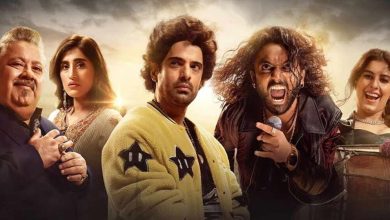 chamak the conclusion web series review