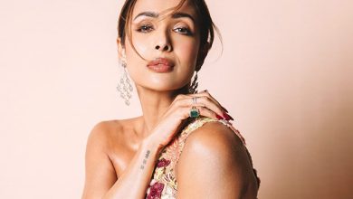 Malaika Arora Gets Last Warning From Bombay Court