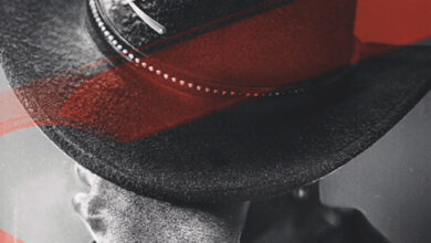 Sajid Nadiadwala and Vishal Bhardwaj Join Forces for O’ Romeo Starring Shahid Kapoor and Triptii Dimri, Set for Valentine’s Day Weekend 2026 Release 7 o romeo film