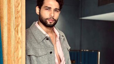 Siddhant Chaturvedi Netflix film