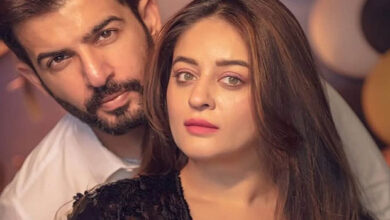 Jay Bhanushali and Mahhi Vij confirm