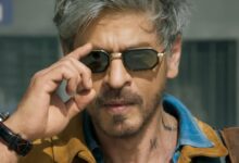 King Shooting Update