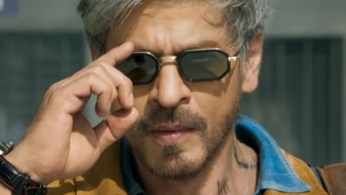 King Shooting Update