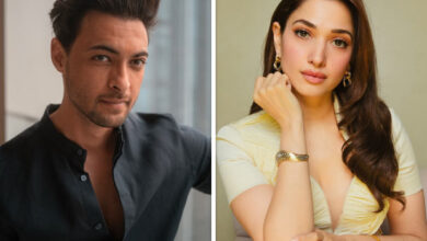 Ayush Sharma joins Ragini 3