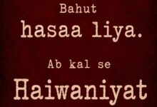 haiwaan