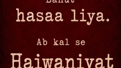 haiwaan