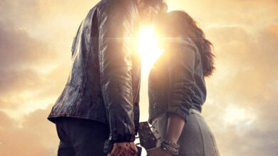 Yash Raj Films schedules